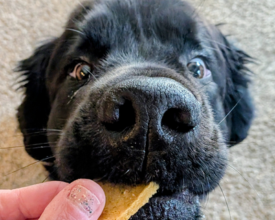 Ellie