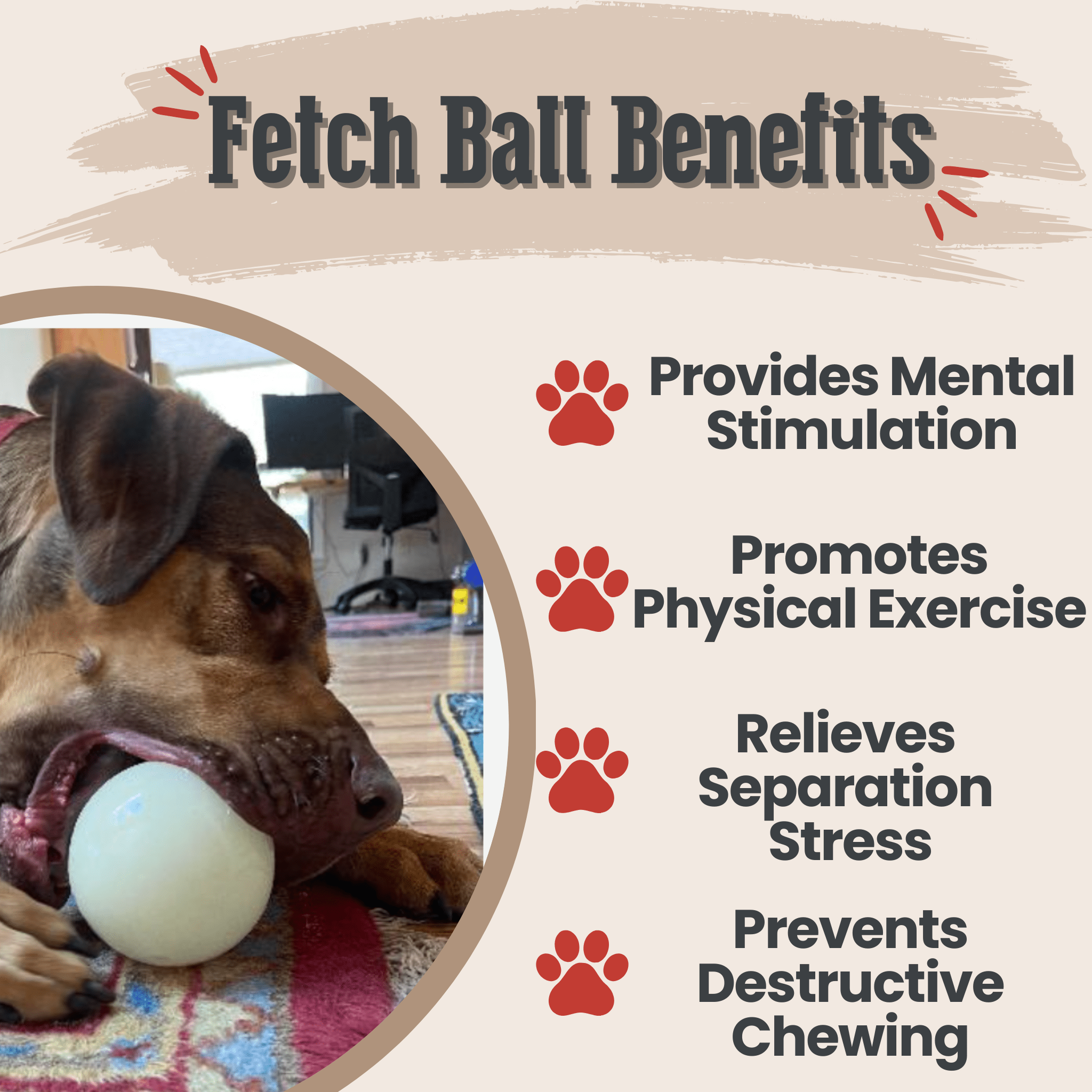 Dog playing with a ball, with text listing benefits of fetch balls on a beige background.