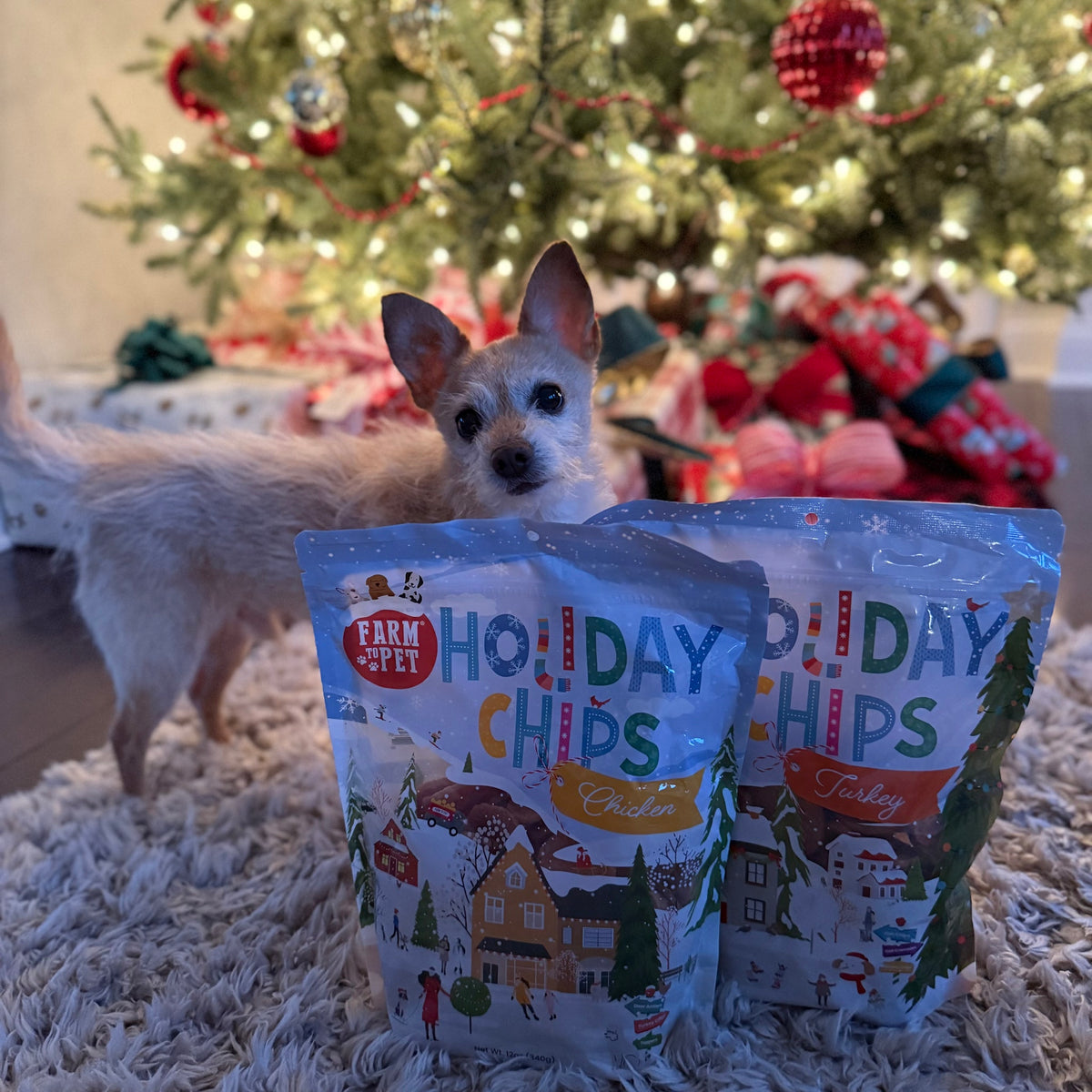 Small dog under the Christmas tree with Holiday Chicken and Turkey Chips, healthy holiday dog treats