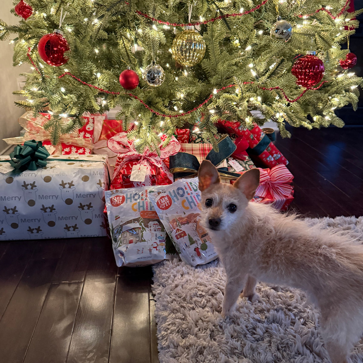 Small dog under the Christmas tree with Farm to Pet Holiday Chips, Christmas gifts for dogs