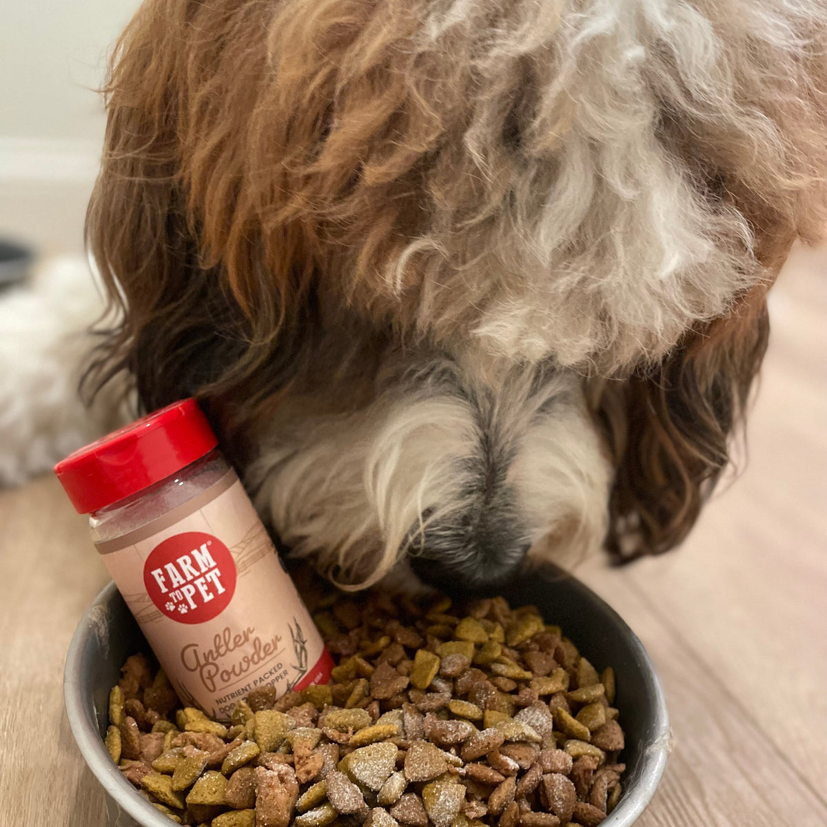 Dog eating food topped with Farm to Pet Antler Powder, a single-ingredient elk antler topper