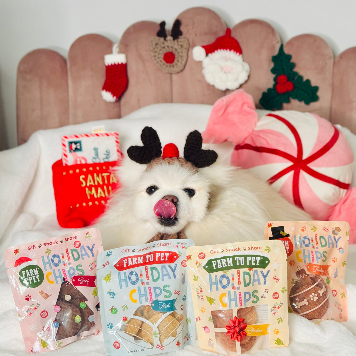 Dog in reindeer antlers with Holiday Snack Stuffers mini bags, healthy dog stocking stuffers