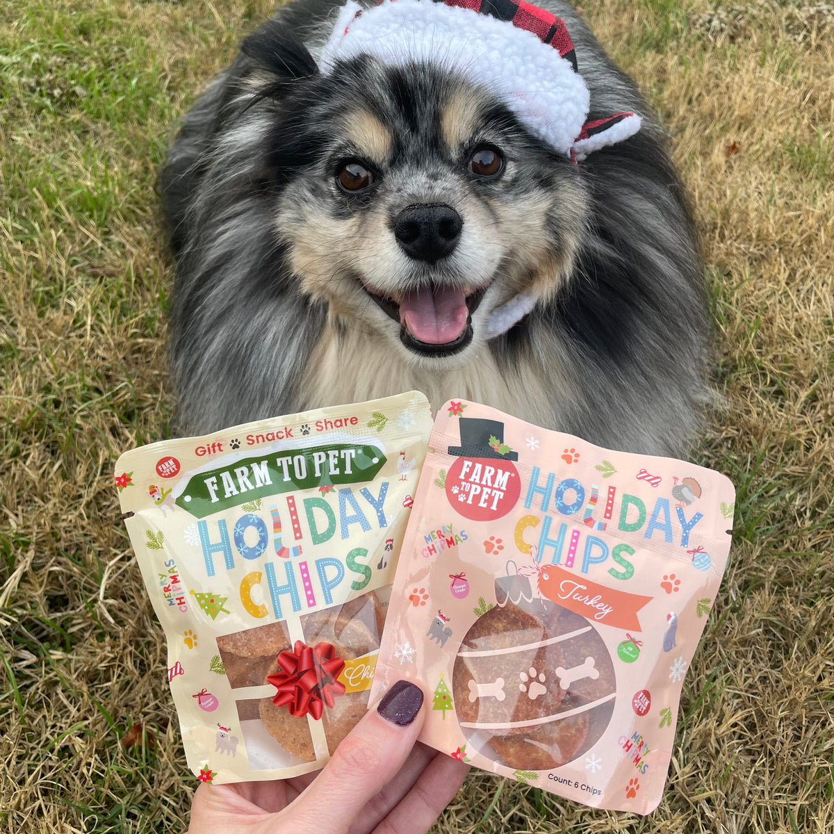 Fluffy dog in a Santa hat with Farm to Pet Holiday Chips Snack Stuffers, healthy dog stocking stuffers