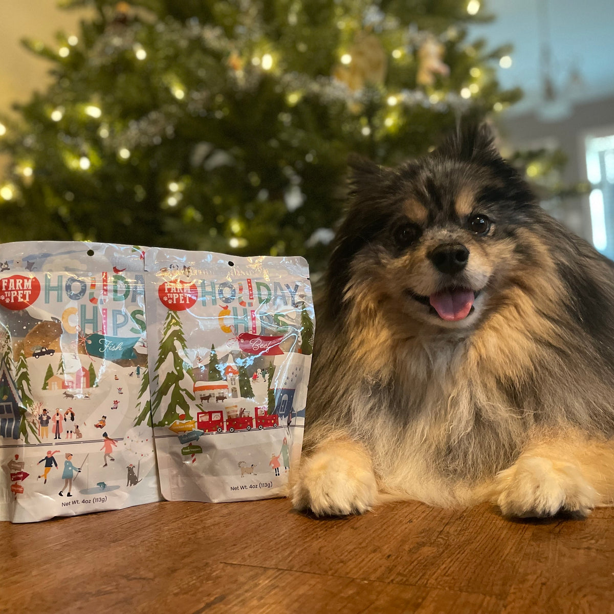 Fluffy dog behind 4oz Holiday Beef and Fish Chips bags, healthy Christmas dog treats