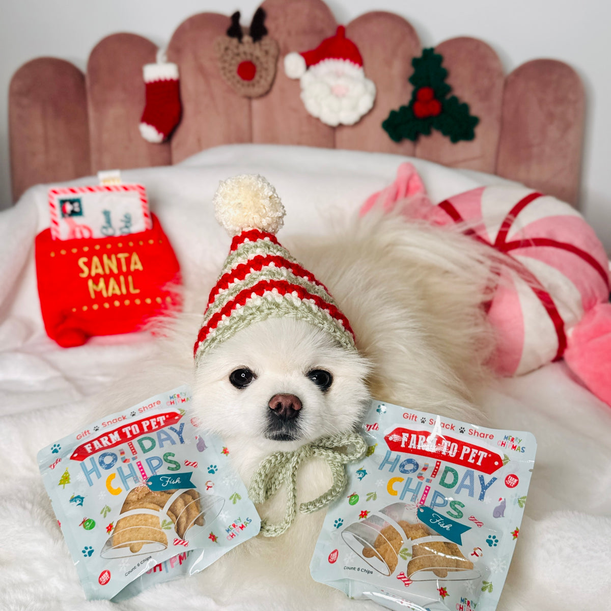 Pomeranian in a knit hat with Fish Snack Stuffers, healthy mini bags of dog treats for Christmas