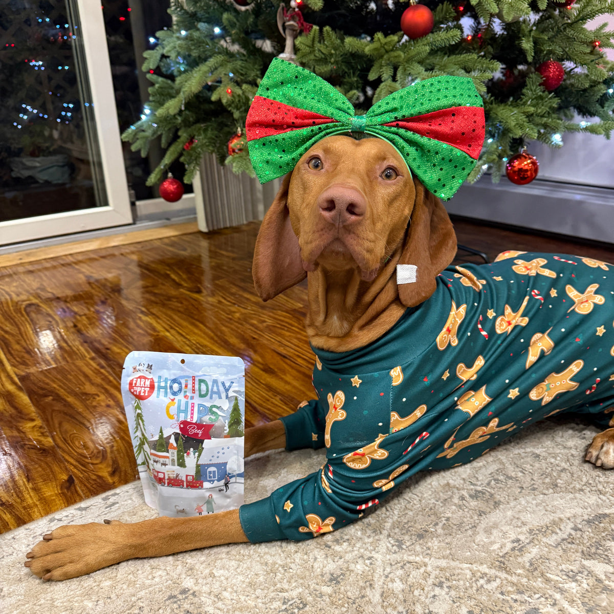 Vizsla in Christmas pajamas by the tree with Holiday Beef Chips, a healthy dog stocking stuffer